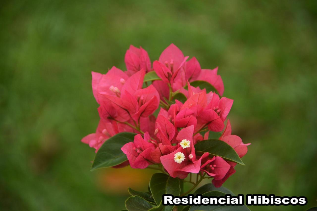 Residencial Hibiscos - Vista Mar Holiday home